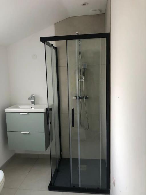 Appartement Cosy-Grand Stade Villeneuve D'Ascq Lezennes Bagian luar foto