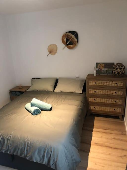 Appartement Cosy-Grand Stade Villeneuve D'Ascq Lezennes Bagian luar foto